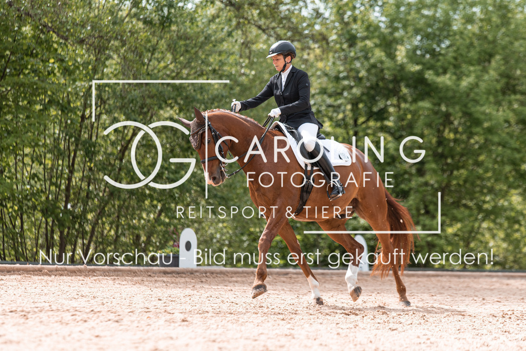 DSC_2148 | Turnierfotografin Carolin Gieschke, Turnierfotografie Carolin G Fotografie, Turnierfotos Kirchheim/Teck, Esslingen, Stuttgart, Bodenseekreis