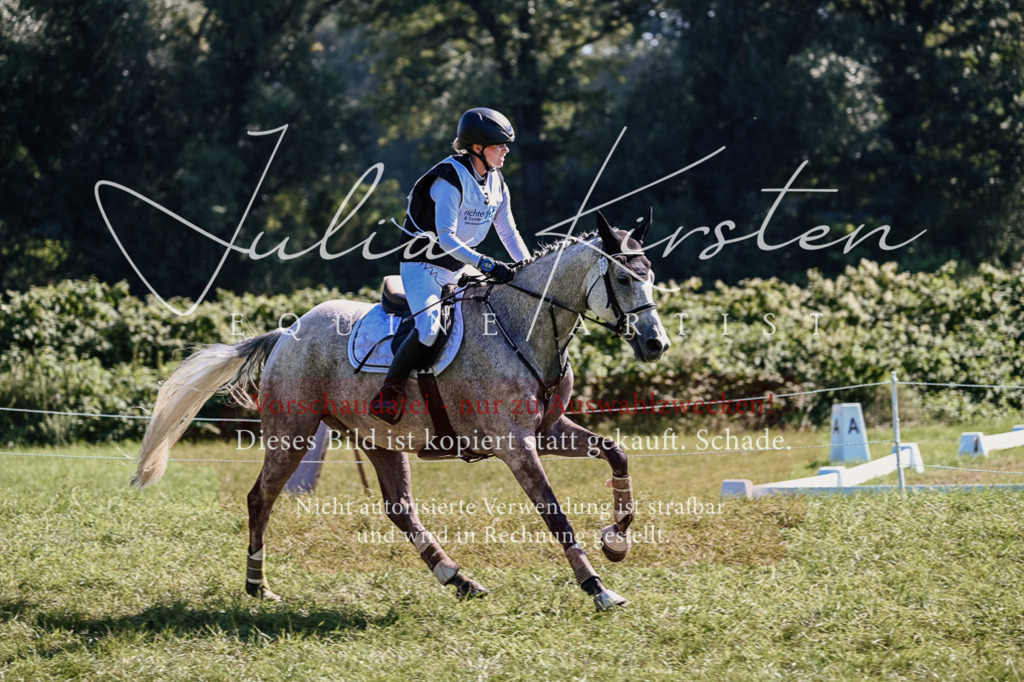 DSC_1424 | Pferde- und Turnierfotografie in Westsachsen. Pferdeportraits, Auftragszeichnungen und intuitive Kunst.