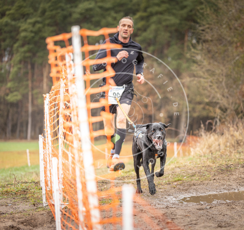 DV3A0407 | Hundefotografie, Tierfotograf, Pfotenfotografie, Fotoshooting Hund, Hunde Portrait, Hundesport, Hundeportraits, Heideshooting, Hunde, Sportfotograf, Hundefotograf, Turnierhundsport, THS,  - Realisiert mit Pictrs.com