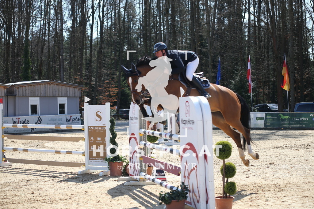 AS8V3646 | Willkommen bei Brunnmayr - Design & Fotografie – Ihrem Spezialisten für Reitturniere und Pferdeveranstaltungen in Oberösterreich, Salzburg und Bayern! Seit über 17 Jahren sind wir leidenschaftlich dabei.