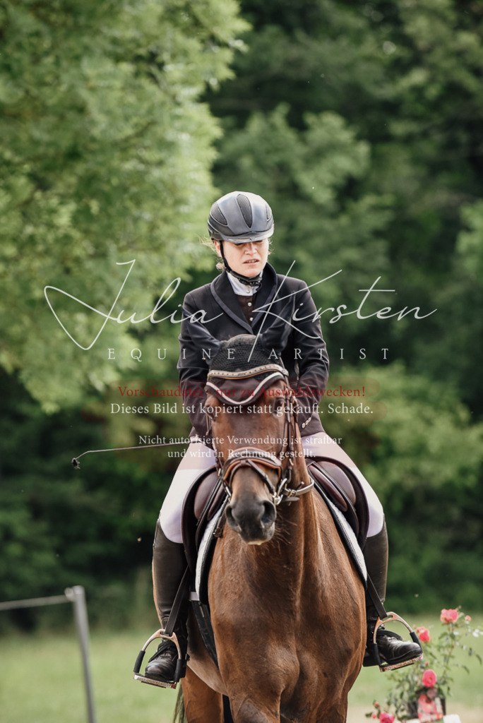 DSC_0740 | Pferde- und Turnierfotografie in Westsachsen. Pferdeportraits, Auftragszeichnungen und intuitive Kunst.