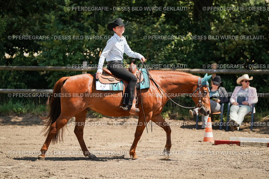 DSC07375 | Pferdegrafie