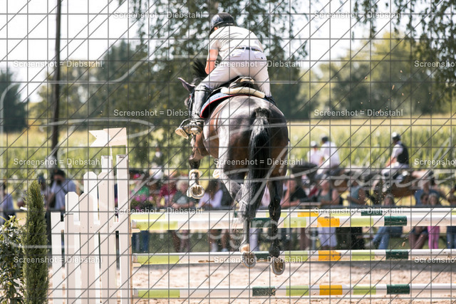 _W6A7964 | ronjaprokoschfotografie - Realisiert mit Pictrs.com