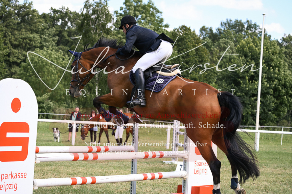 DSC_0544 | Pferde- und Turnierfotografie in Westsachsen. Pferdeportraits, Auftragszeichnungen und intuitive Kunst.