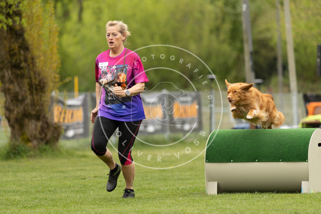 Pfotenfotografie_DV3A9102 | Hundefotografie, Tierfotograf, Pfotenfotografie, Fotoshooting Hund, Hunde Portrait, Hundesport, Hundeportraits, Heideshooting, Hunde, Sportfotograf, Hundefotograf, Turnierhundsport, THS,  - Realisiert mit Pictrs.com
