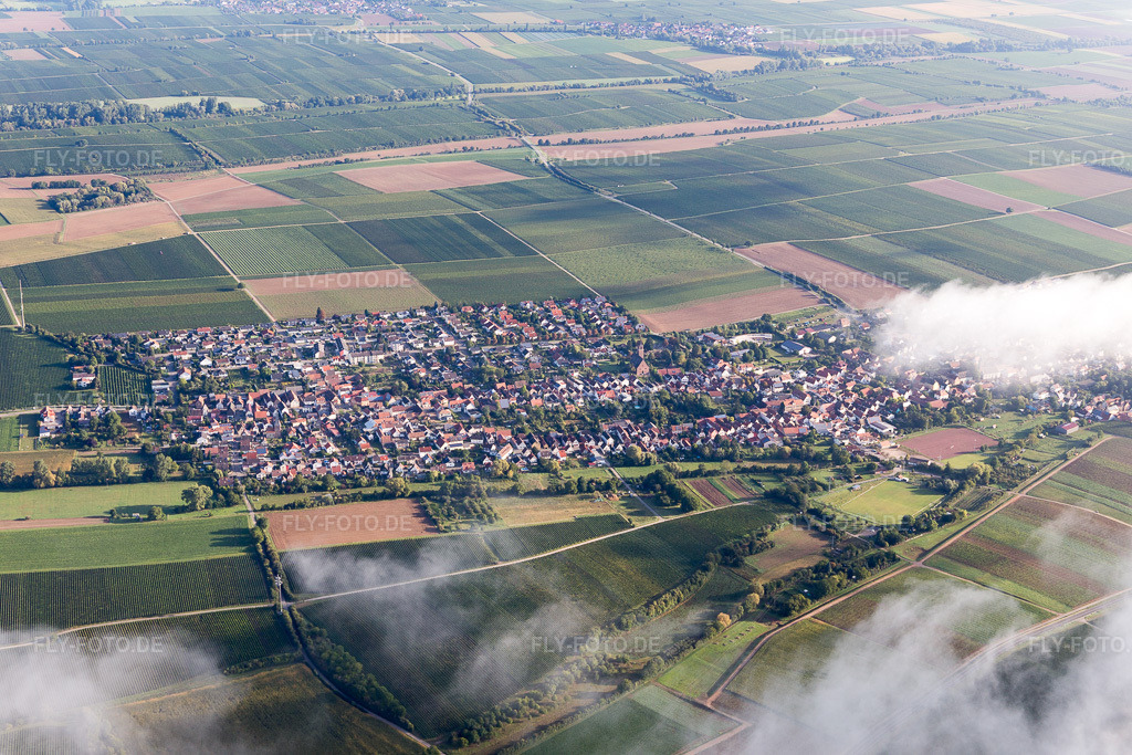 Luftbild: Ortsansicht aus Süden in Essingen im Bundesland Rheinland-Pfalz in Deutschland. Foto: IMG_103365.jpg vom 10.09.2017 durch Werner Riehm/FLY-FOTO.de