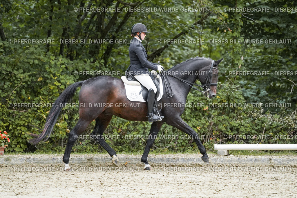 DSC00398 | Pferdegrafie