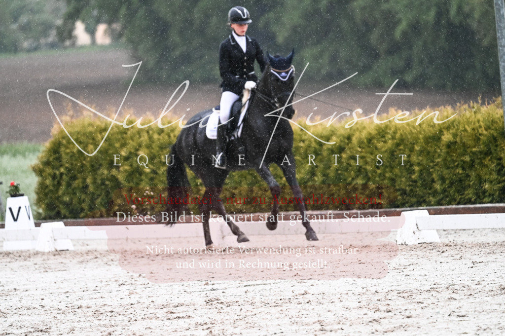 DSC_4739 | Pferde- und Turnierfotografie in Westsachsen. Pferdeportraits, Auftragszeichnungen und intuitive Kunst.