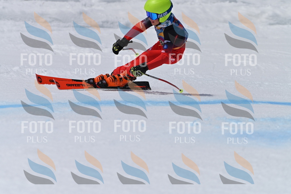 BGV_6110 | holidayphoto