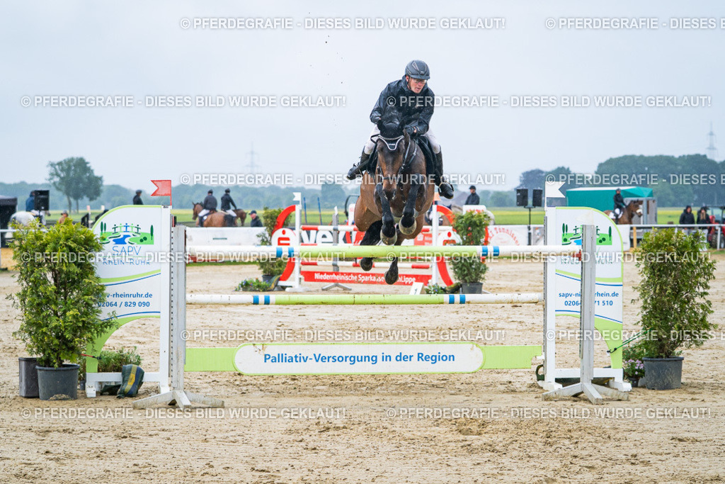 DSC00103 | Pferdegrafie