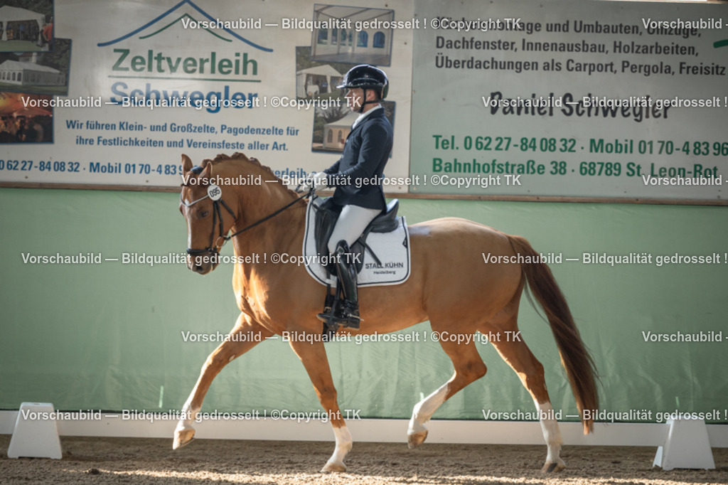 _D5A0419 | Emotionale Pferde- & People-Fotografie rund um Heidelberg, Leimen & Umgebung. Natürliche Fotos von Pferd, Mensch & Familie. Jetzt Termin sichern!