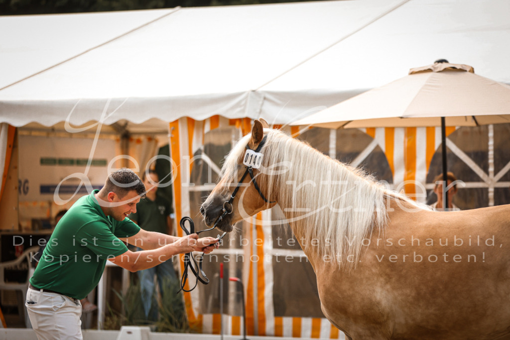 06.So00057 | Leoni Ertmer Photography - Realisiert mit Pictrs.com