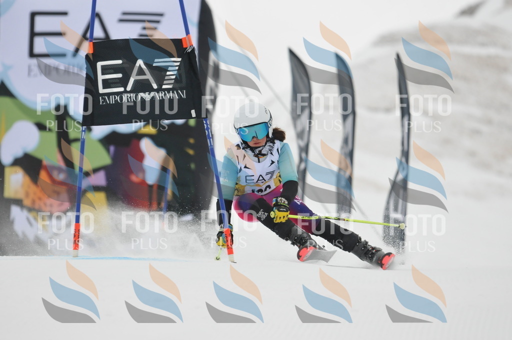 DSC_8283 | holidayphoto