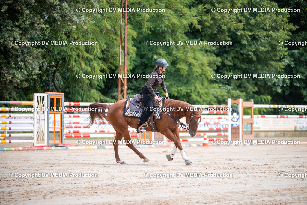 ZS3_5026 | dv-media-shop - Realisiert mit Pictrs.com