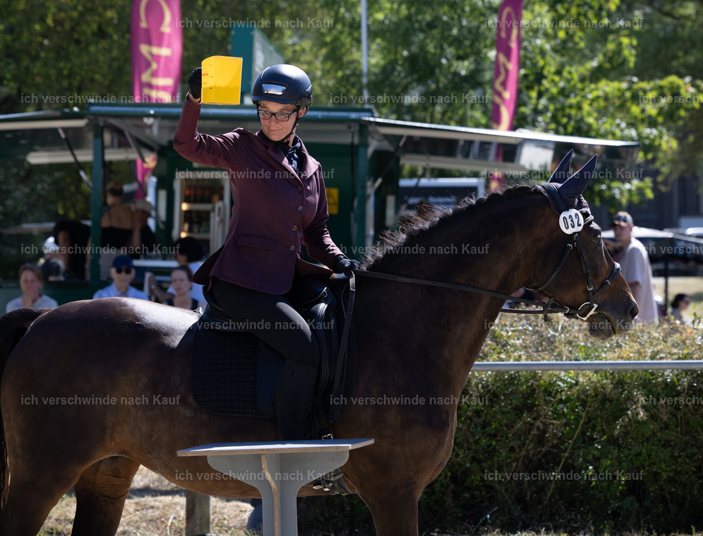 WE_Trail_32_KerstinBernhardt-16 | working equitationturnier fotograf videograf stoibphotography marixx film working equitation deutschland reitsport turnierfotografie eventfotografie equestrian events
