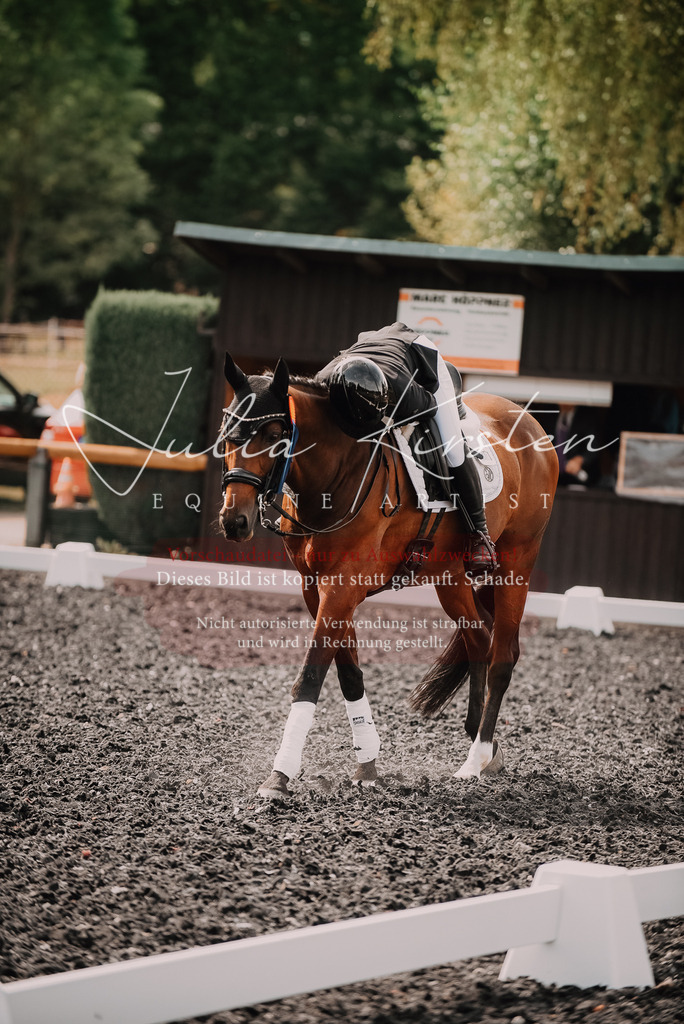 DSC_5199 | Pferde- und Turnierfotografie in Westsachsen. Pferdeportraits, Auftragszeichnungen und intuitive Kunst.