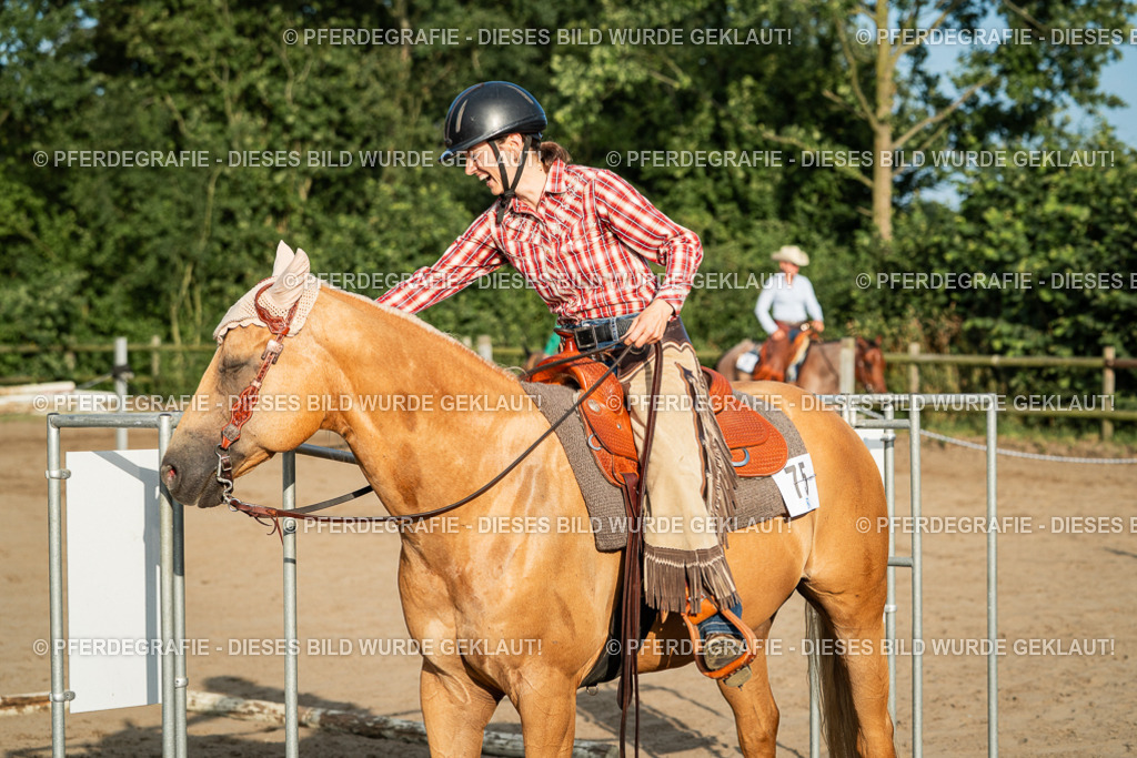 DSC06110 | Pferdegrafie