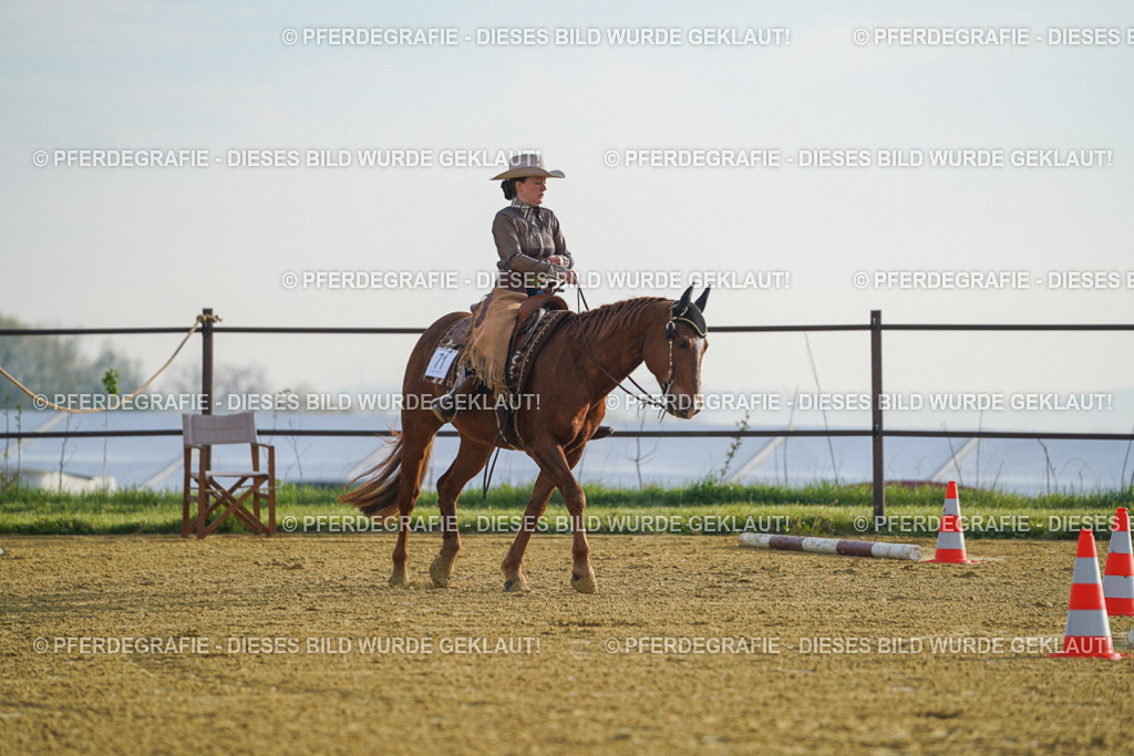 DSC09788 | Pferdegrafie