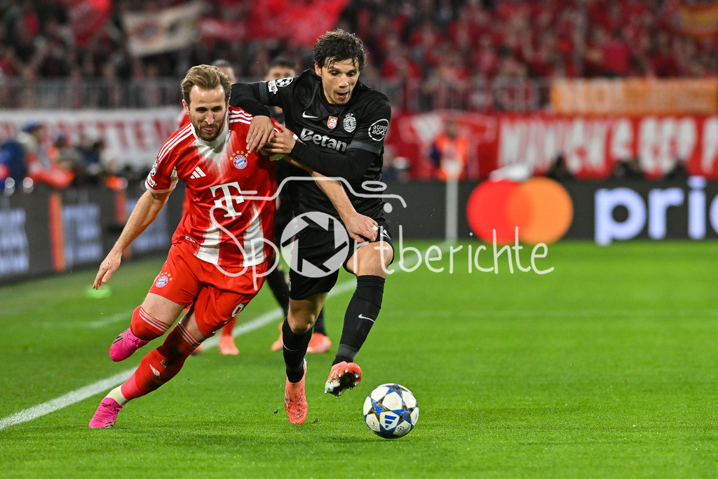 FC Bayern München - Sporting Lissabon | MUNICH, GERMANY - 09. DECEMBER: im Duell Harry KANE (FC Bayern Munich 9) und Eduardo QUARESMA (Sporting CP 72) während dem Match zwischen dem FC Bayern München und Sporting Lissabon am 6. Spieltag der UEFA Champions League Ligaphase in der Allianz Arena