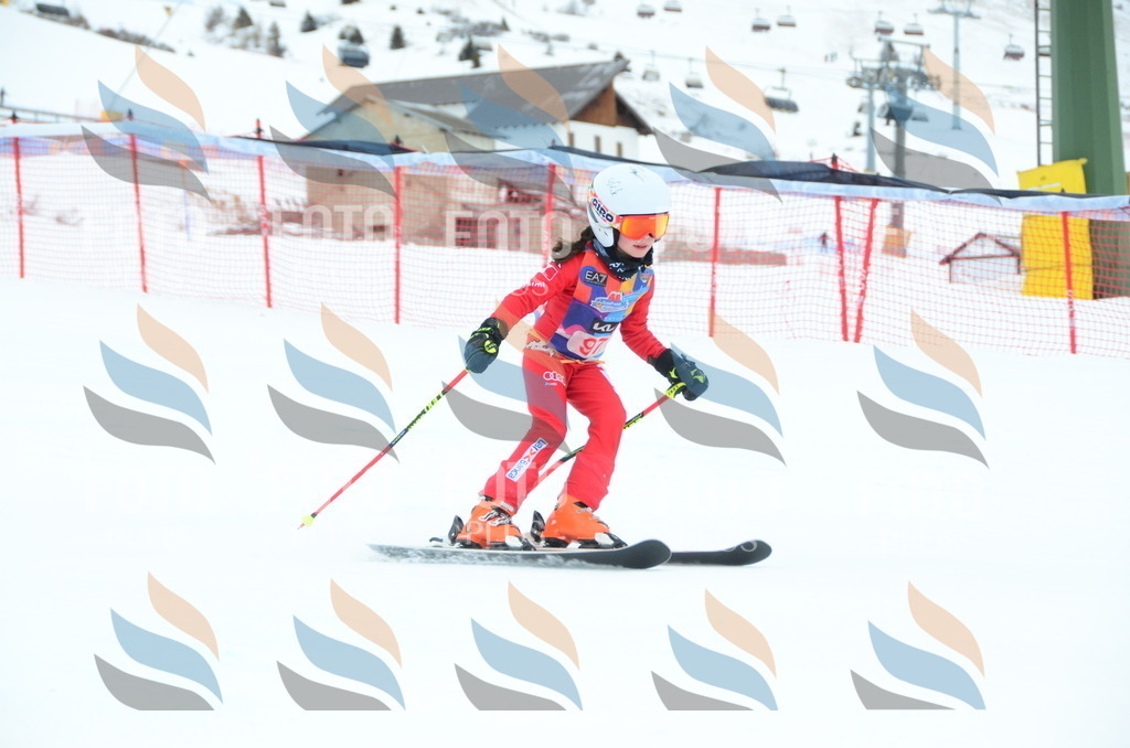 DSC_1195 | holidayphoto