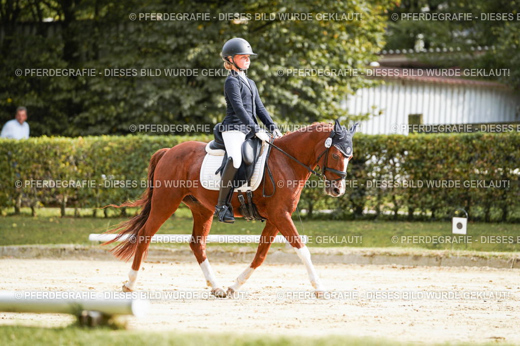 DSC03982 | Pferdegrafie