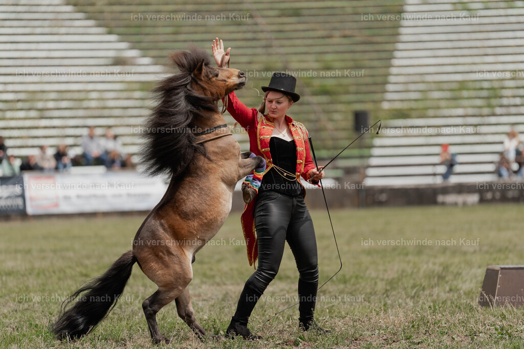 Showprogramm-236 | working equitationturnier fotograf videograf stoibphotography marixx film working equitation deutschland reitsport turnierfotografie eventfotografie equestrian events