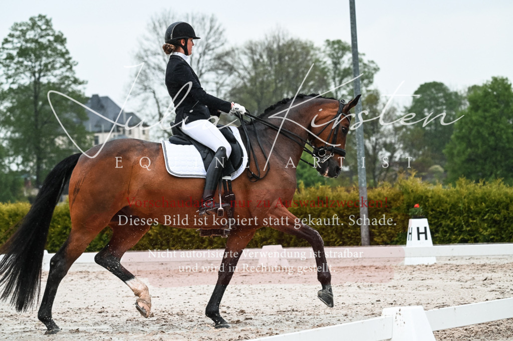 DSC_4560 | Pferde- und Turnierfotografie in Westsachsen. Pferdeportraits, Auftragszeichnungen und intuitive Kunst.