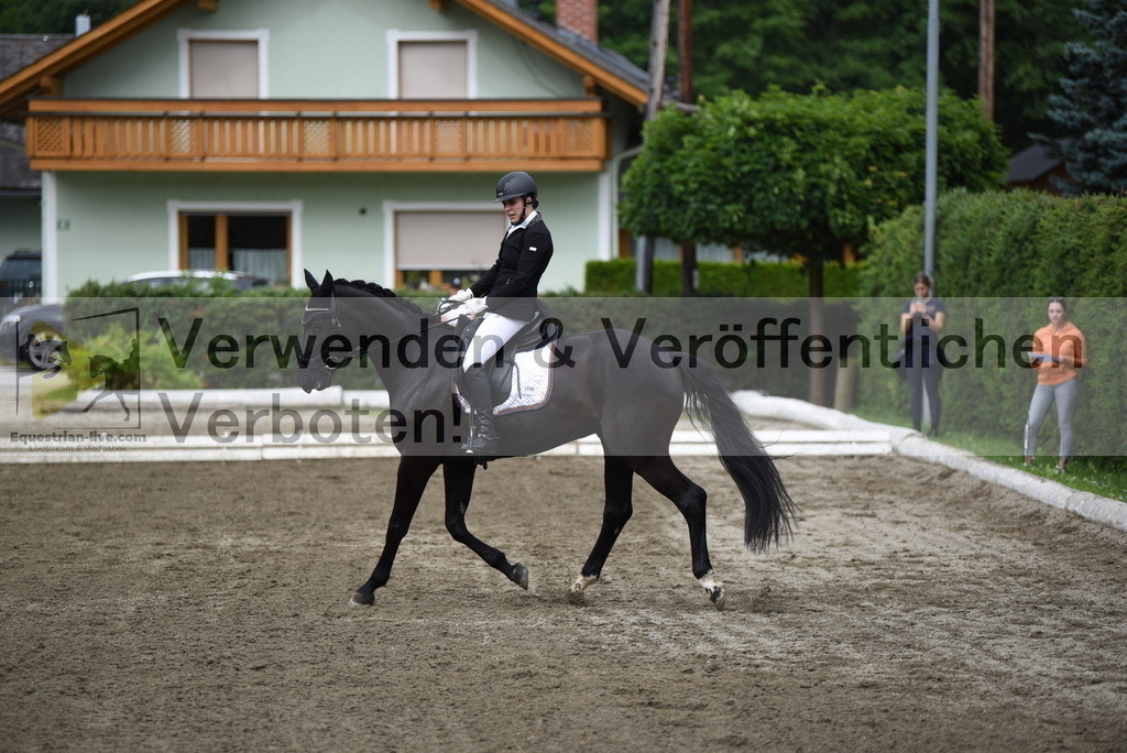 DSC_4375 | equestrian-live-com