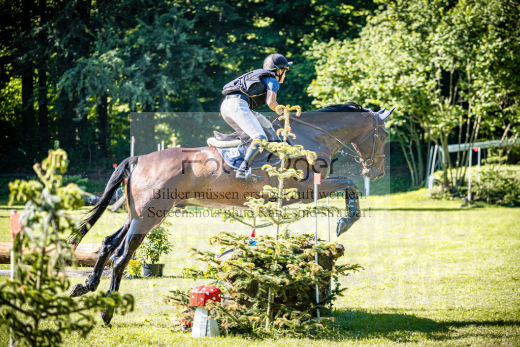 2026-05 - Melle Oldendorf-3-0038 | Entdecke hochwertige Reitturnierfotos von Foto Oger. Professionell, emotional und authentisch – jetzt Lieblingsmomente im Shop bestellen.Deutschlandweite Turnierfotografie. - Realisiert mit Pictrs.com