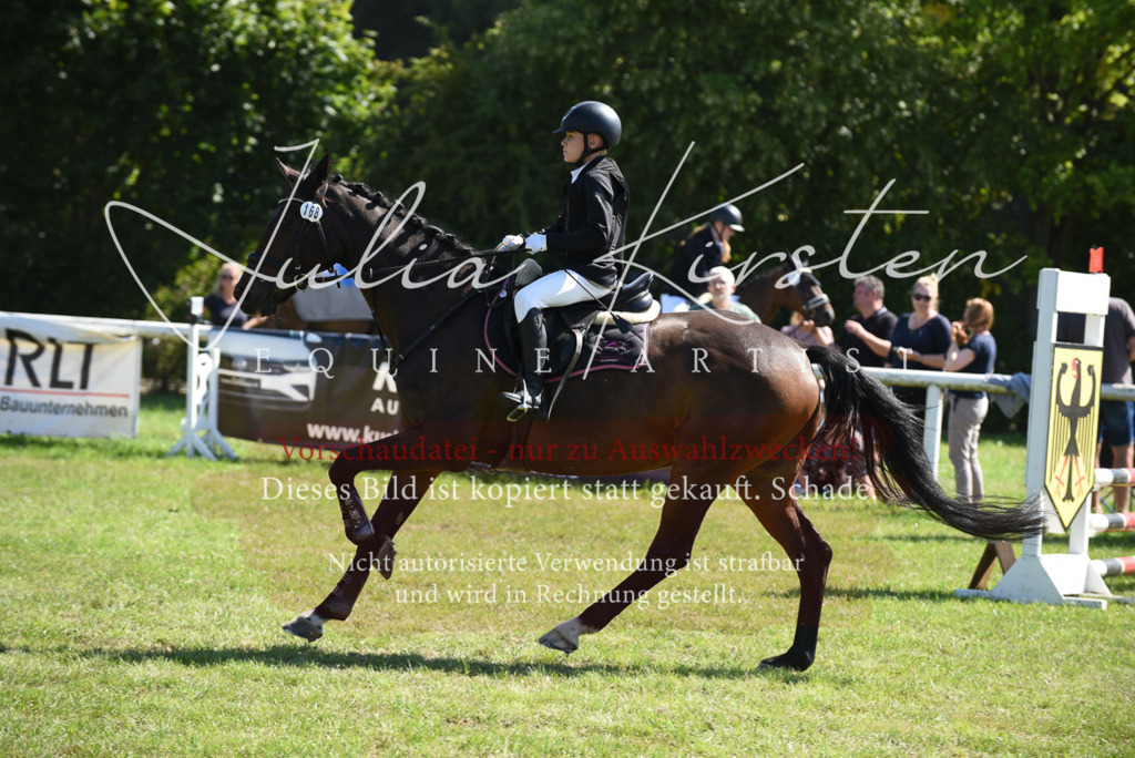 DSC_9374 | Pferde- und Turnierfotografie in Westsachsen. Pferdeportraits, Auftragszeichnungen und intuitive Kunst.