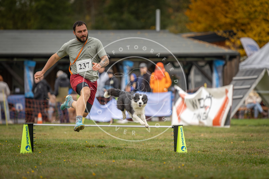 Pfotenfotografie_DV3A4925 | Hundefotografie, Tierfotograf, Pfotenfotografie, Fotoshooting Hund, Hunde Portrait, Hundesport, Hundeportraits, Heideshooting, Hunde, Sportfotograf, Hundefotograf, Turnierhundsport, THS,  - Realisiert mit Pictrs.com
