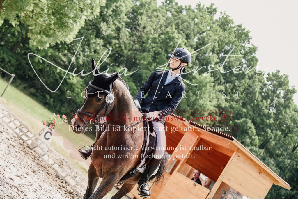 DSC_0834 | Pferde- und Turnierfotografie in Westsachsen. Pferdeportraits, Auftragszeichnungen und intuitive Kunst.
