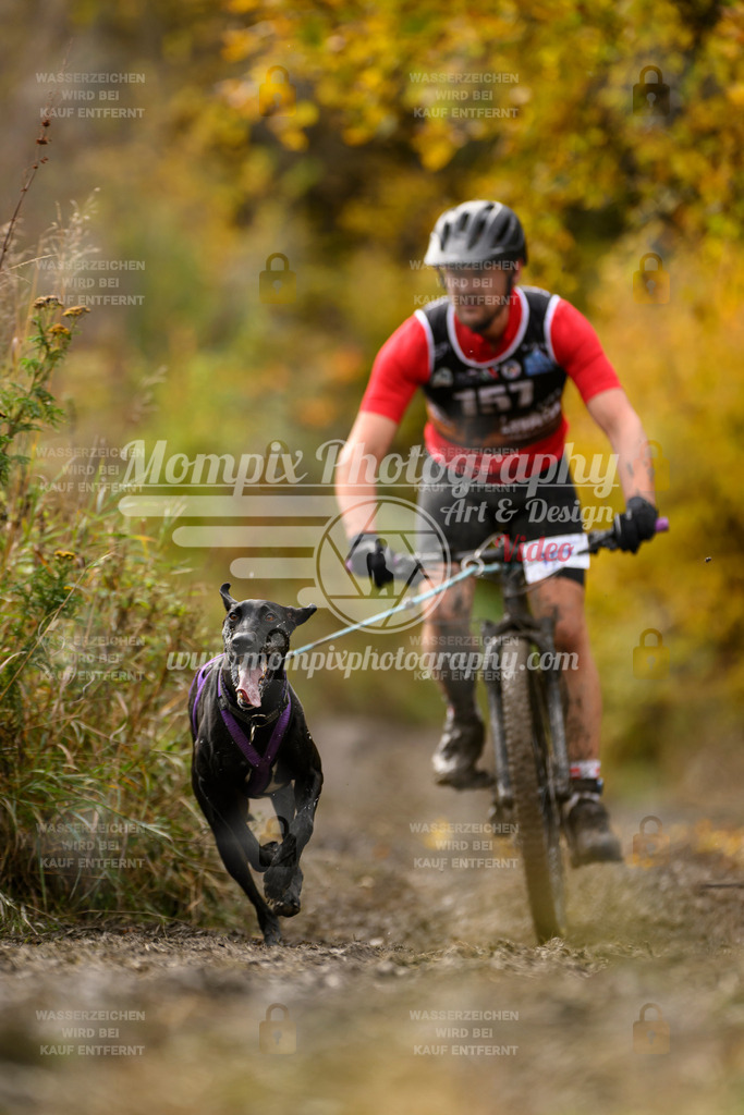 MompixPhotography_ICF_WC_2024_SA_Bike_-217 | PayLife