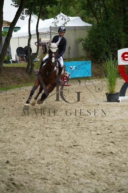 VAN08314 | Marie Giesen Fotografie - Realisiert mit Pictrs.com