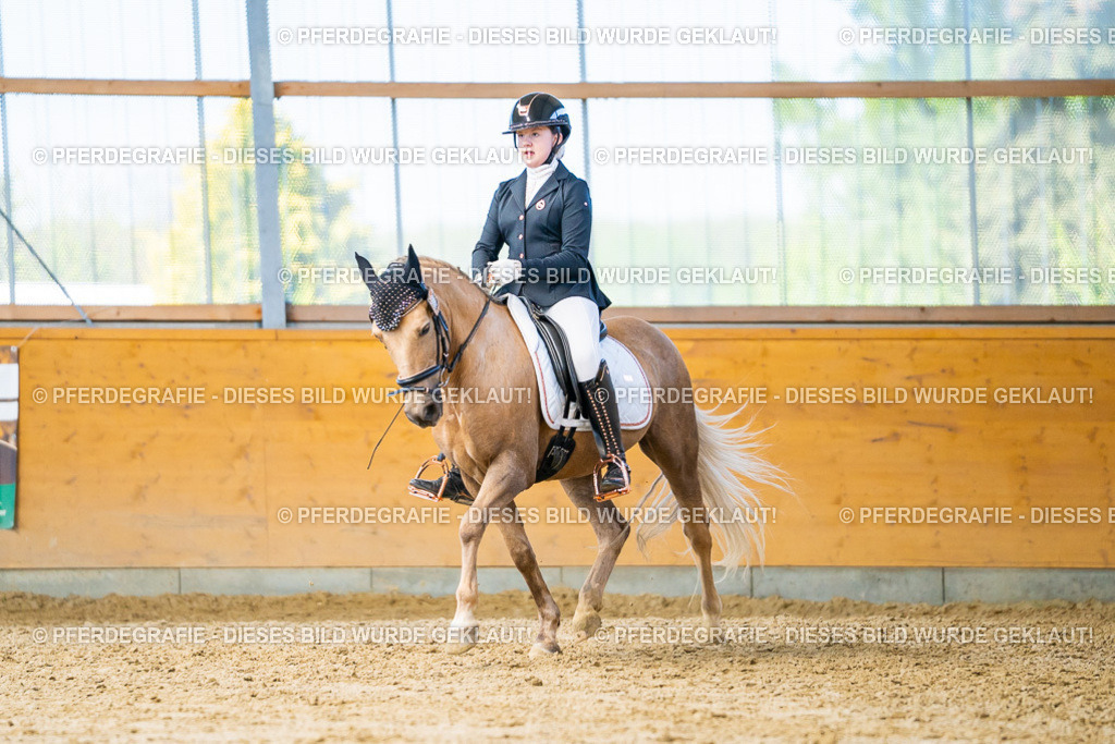 DSC07622 | Pferdegrafie