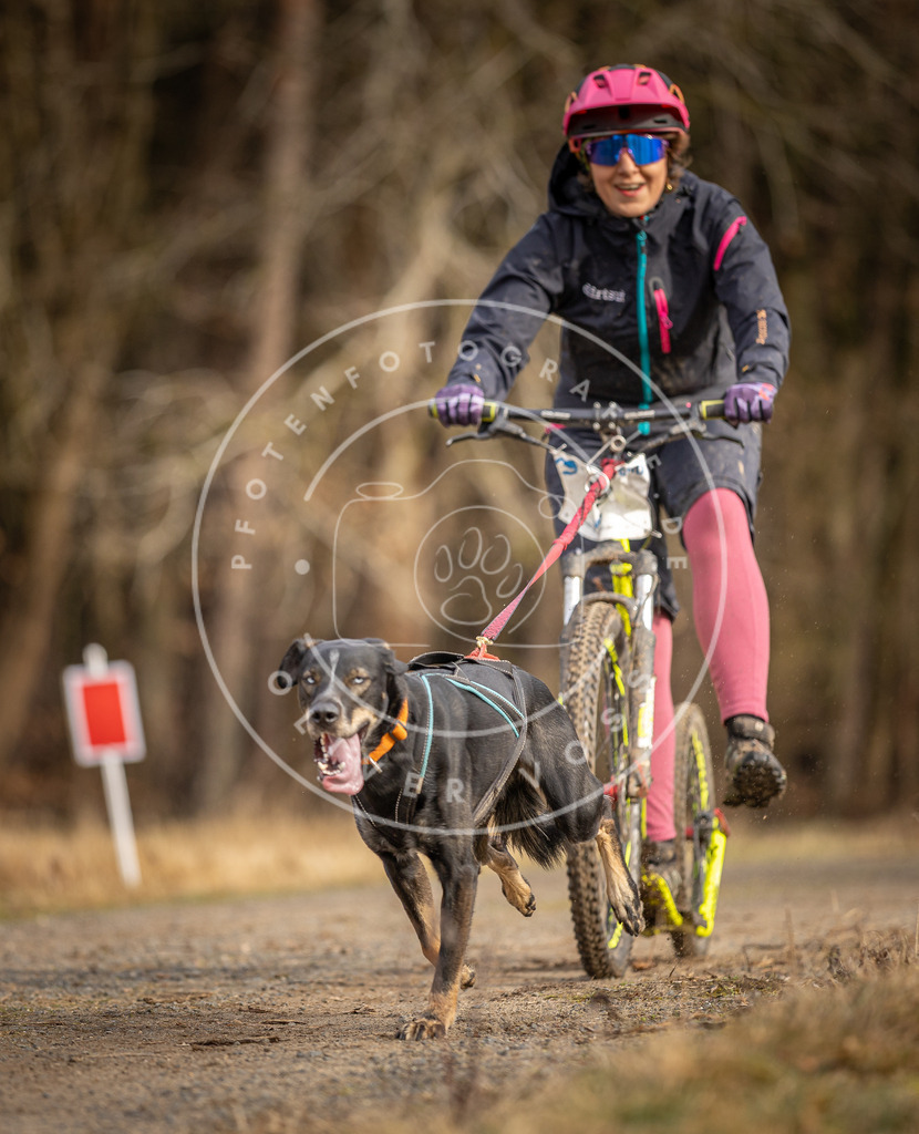 DV3A3536 | Hundefotografie, Tierfotograf, Pfotenfotografie, Fotoshooting Hund, Hunde Portrait, Hundesport, Hundeportraits, Heideshooting, Hunde, Sportfotograf, Hundefotograf, Turnierhundsport, THS,  - Realisiert mit Pictrs.com