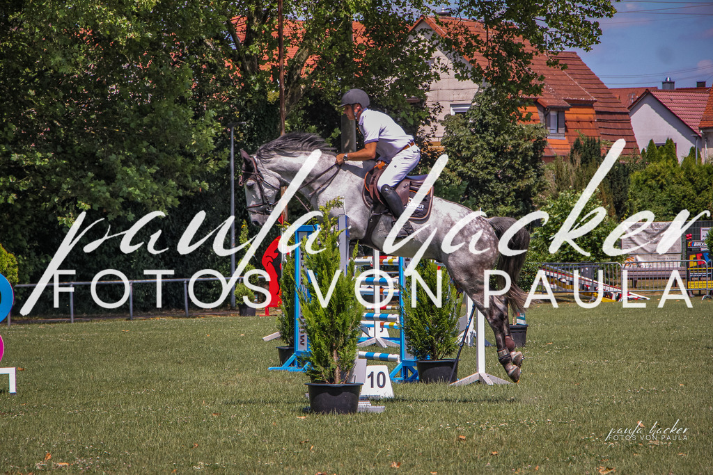 IMG_9611 | Erleben Sie dynamische Sport- und emotionale Tierfotografie in Süddeutschland mit Fotos von Paula. Spezialisiert auf Pferde- und Hundefotografie sowie Sportevents. Kontaktieren Sie mich für einzigartige und ausdrucksstarke Bilder Ihrer besonderen Momente. - Realisiert mit Pictrs.com