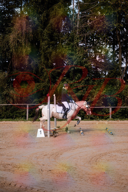 2026_10_03_Siefer-Hof_144155_Z81_14263503 | Professionelle Reitsport-, Turnier- und Eventfotografie von Robert Broda. Galerien mit ausgewählten und bearbeiteten Bildern direkt online ansehen und bestellen.