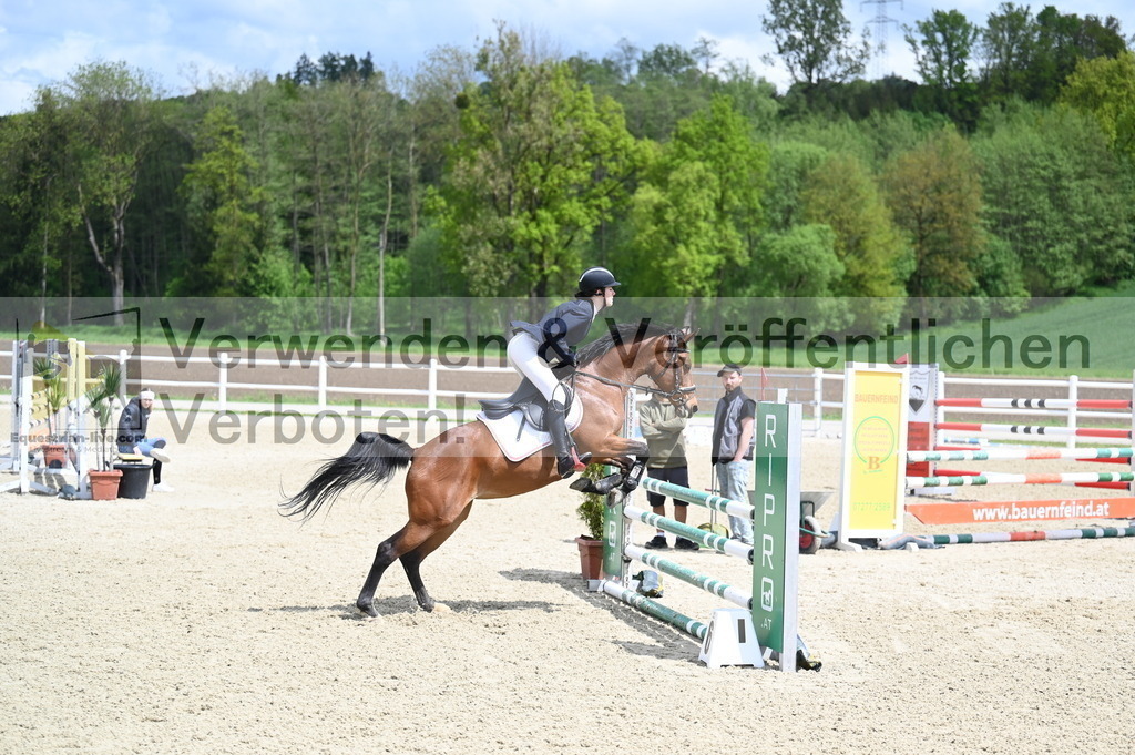 DSC_0765 | equestrian-live-com