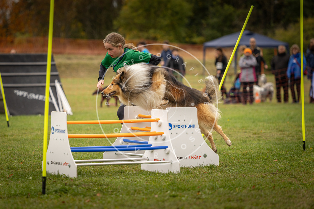 Pfotenfotografie_DV3A6263 | Hundefotografie, Tierfotograf, Pfotenfotografie, Fotoshooting Hund, Hunde Portrait, Hundesport, Hundeportraits, Heideshooting, Hunde, Sportfotograf, Hundefotograf, Turnierhundsport, THS,  - Realisiert mit Pictrs.com