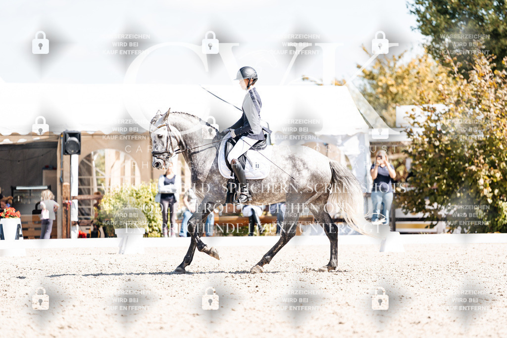 CK903838 | Turnierfotografie Pferdefotografie Trier Rheinland-Pfalz Pferdesport Reitsport Tierfotografie Sportfotografie Pferdevideo Pferdevideografie Equestrianvideography equestrianphotography  - Realisiert mit Pictrs.com
