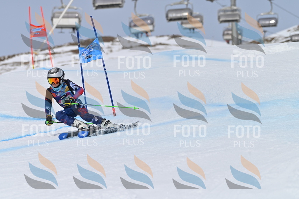 BGV_4332 | holidayphoto