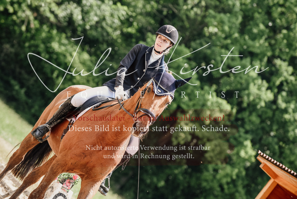 DSC_1550 | Pferde- und Turnierfotografie in Westsachsen. Pferdeportraits, Auftragszeichnungen und intuitive Kunst.