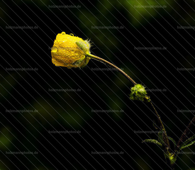 20260515-IMG_5557 | Authentische Fotografie für Menschen, Marken und Räume. Portraits, Editorial, Fine Art und atmosphärische Bildwelten im Werra-Meißner-Kreis, Kassel und Eisenach. Emotion im Fokus.