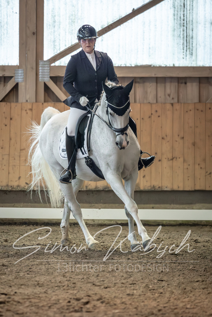 20251011-_3LI6280 | Tierfotografie Pferde, Hunde, Katzen, Haustiere.
Turnierfotografie Reitturniere, Reiten, Springreiten, Dressur in Hanau, dem Main-Kinzig-Kreis und dem Rhein-Main- Gebiet um Frankfurt