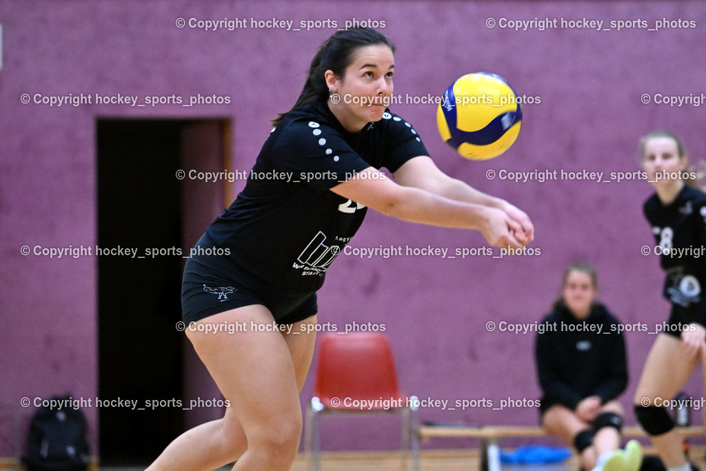 ASKÖ Volley Eagles vs. VCH Hausmannstätten 26.10.2023 | hockey sports photos, Pressefotos, Sportfotos, hockey247, win 2day icehockeyleague, Handball Austria, Floorball Austria, ÖVV, Kärntner Eishockeyverband, KEHV, KFV, Kärntner Fussballverband, Österreichischer Volleyballverband, Alps Hockey League, ÖFB, 