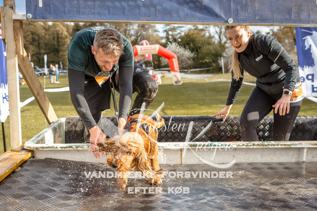 1523_ZZ96620 | kk-dogfotos