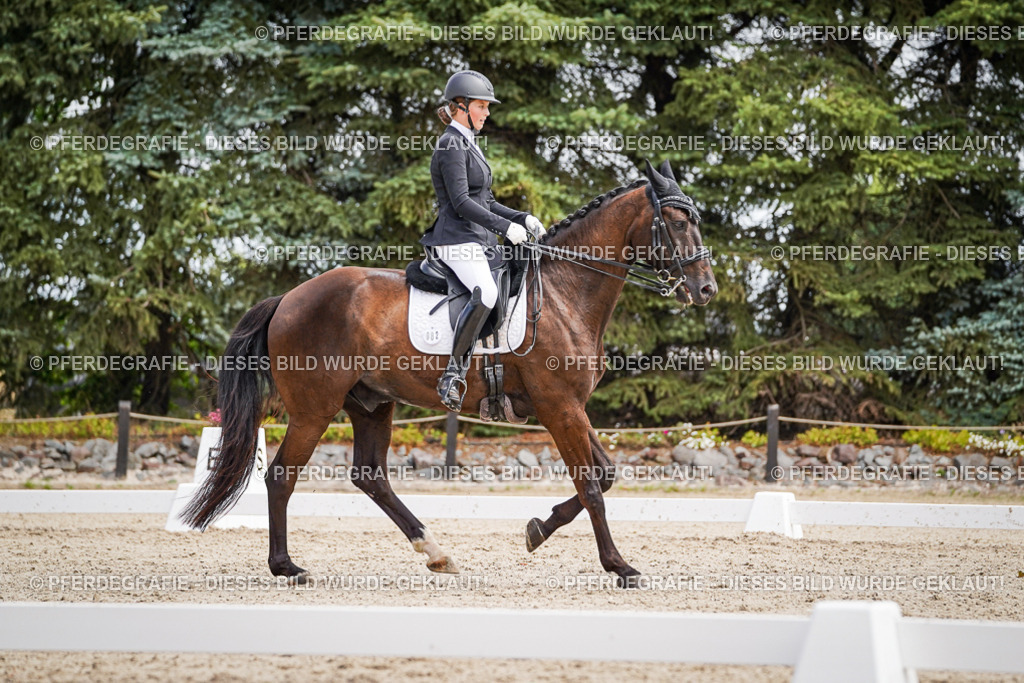 DSC03525 | Pferdegrafie