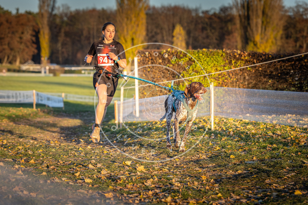 CaniXpix_DV3A5409 | Hundefotografie, Tierfotograf, Pfotenfotografie, Fotoshooting Hund, Hunde Portrait, Hundesport, Hundeportraits, Heideshooting, Hunde, Sportfotograf, Hundefotograf, Turnierhundsport, THS,  - Realisiert mit Pictrs.com
