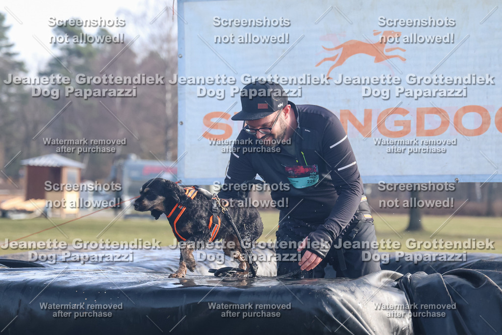 Dog Paparazzi - Strongdog North Mrz26-577 | Dog Paparazzi Jeanette Grottendiek Fotografie & Videografie - Realisiert mit Pictrs.com